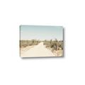 Picture of Cactus Row _GroupedProduct_Rectangle_Landscape_Photography _GroupedProduct_Rectangle_Landscape_Canvas_