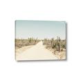 Picture of Cactus Row _GroupedProduct_Rectangle_Landscape_Photography _GroupedProduct_Rectangle_Landscape_Canvas_
