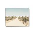 Picture of Cactus Row _GroupedProduct_Rectangle_Landscape_Photography _GroupedProduct_Rectangle_Landscape_Canvas_