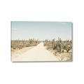 Picture of Cactus Row _GroupedProduct_Rectangle_Landscape_Photography _GroupedProduct_Rectangle_Landscape_Canvas_