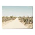 Picture of Cactus Row _GroupedProduct_Rectangle_Landscape_Photography _GroupedProduct_Rectangle_Landscape_Canvas_