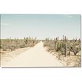 Picture of Cactus Row _GroupedProduct_Rectangle_Landscape_Photography _GroupedProduct_Rectangle_Landscape_Canvas_