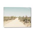 Picture of Cactus Row _GroupedProduct_Rectangle_Landscape_Photography _GroupedProduct_Rectangle_Landscape_Canvas_