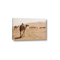 Picture of Camel Walk _GroupedProduct_Rectangle_Landscape_Photography _GroupedProduct_Rectangle_Landscape_Canvas_