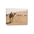 Picture of Camel Walk _GroupedProduct_Rectangle_Landscape_Photography _GroupedProduct_Rectangle_Landscape_Canvas_
