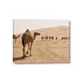 Picture of Camel Walk _GroupedProduct_Rectangle_Landscape_Photography _GroupedProduct_Rectangle_Landscape_Canvas_