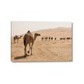 Picture of Camel Walk _GroupedProduct_Rectangle_Landscape_Photography _GroupedProduct_Rectangle_Landscape_Canvas_
