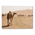 Picture of Camel Walk _GroupedProduct_Rectangle_Landscape_Photography _GroupedProduct_Rectangle_Landscape_Canvas_