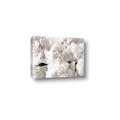 Picture of Fluffy Florals _GroupedProduct_Rectangle_Landscape_Photography _GroupedProduct_Rectangle_Landscape_Canvas_