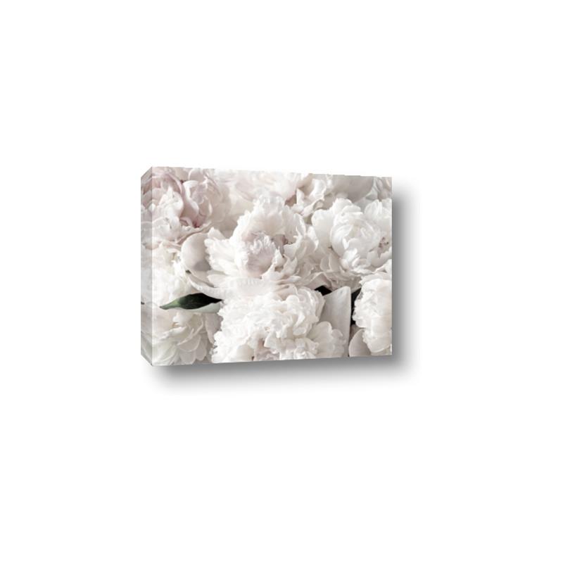 Picture of Fluffy Florals _GroupedProduct_Rectangle_Landscape_Photography _GroupedProduct_Rectangle_Landscape_Canvas_