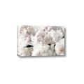 Picture of Fluffy Florals _GroupedProduct_Rectangle_Landscape_Photography _GroupedProduct_Rectangle_Landscape_Canvas_