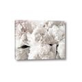 Picture of Fluffy Florals _GroupedProduct_Rectangle_Landscape_Photography _GroupedProduct_Rectangle_Landscape_Canvas_