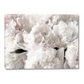 Picture of Fluffy Florals _GroupedProduct_Rectangle_Landscape_Photography _GroupedProduct_Rectangle_Landscape_Canvas_