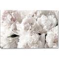 Picture of Fluffy Florals _GroupedProduct_Rectangle_Landscape_Photography _GroupedProduct_Rectangle_Landscape_Canvas_