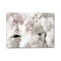 Picture of Fluffy Florals _GroupedProduct_Rectangle_Landscape_Photography _GroupedProduct_Rectangle_Landscape_Canvas_