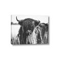 Picture of Bull in the Grass _GroupedProduct_Rectangle_Landscape_Photography _GroupedProduct_Rectangle_Landscape_Canvas_