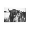 Picture of Bull in the Grass _GroupedProduct_Rectangle_Landscape_Photography _GroupedProduct_Rectangle_Landscape_Canvas_