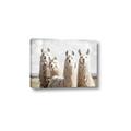 Picture of Llama Fam _GroupedProduct_Rectangle_Landscape_Photography _GroupedProduct_Rectangle_Landscape_Canvas_