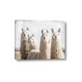 Picture of Llama Fam _GroupedProduct_Rectangle_Landscape_Photography _GroupedProduct_Rectangle_Landscape_Canvas_