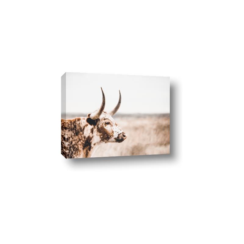Picture of Annie, the Spotted Cow III _GroupedProduct_Rectangle_Landscape_Photography _GroupedProduct_Rectangle_Landscape_Canvas_
