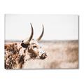Picture of Annie, the Spotted Cow III _GroupedProduct_Rectangle_Landscape_Photography _GroupedProduct_Rectangle_Landscape_Canvas_