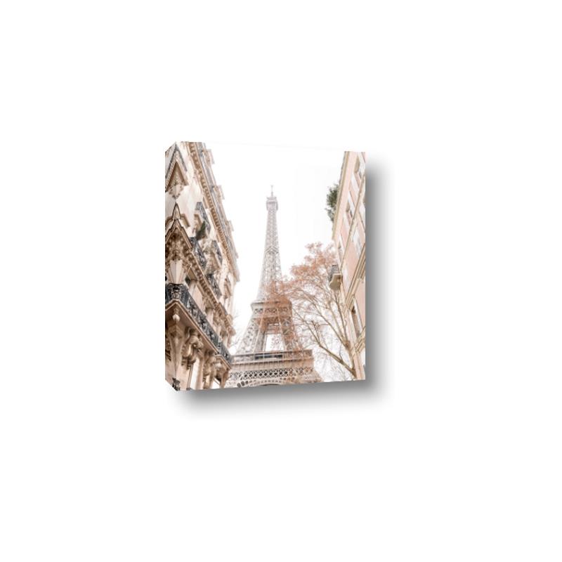 Picture of Paris in the Fall _GroupedProduct_Rectangle_Portrait_Photography _GroupedProduct_Rectangle_Portrait_Canvas_
