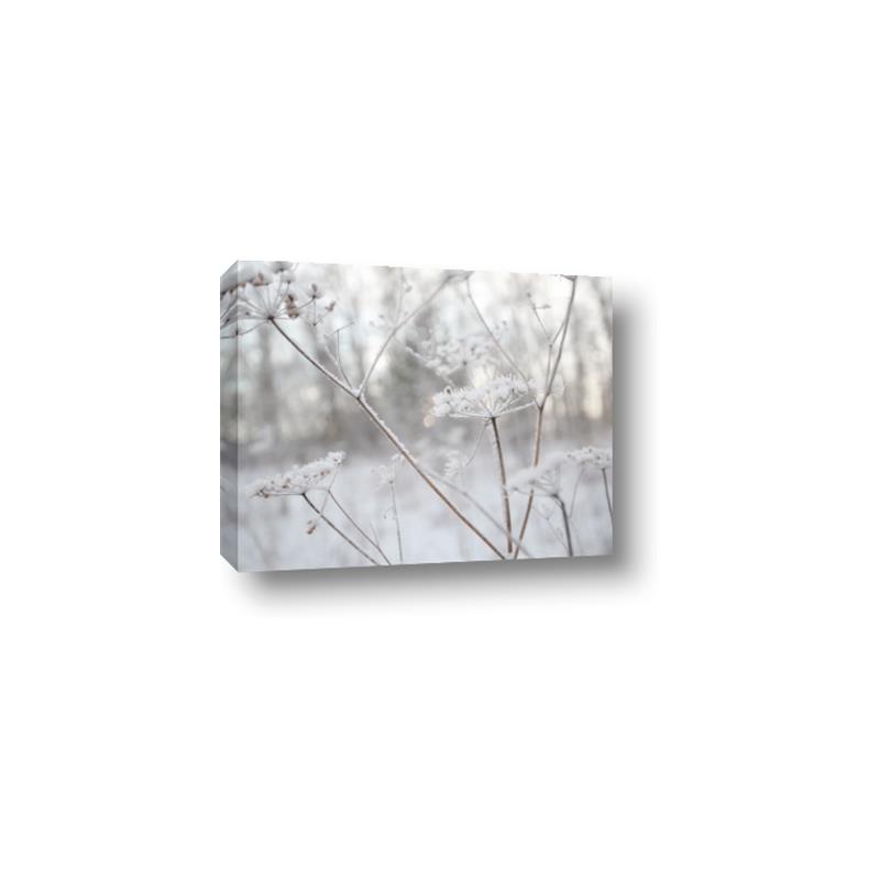 Picture of Branching off _GroupedProduct_Rectangle_Landscape_Photography _GroupedProduct_Rectangle_Landscape_Canvas_