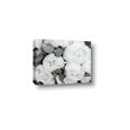 Picture of White Blooms _GroupedProduct_Rectangle_Landscape_Photography _GroupedProduct_Rectangle_Landscape_Canvas_