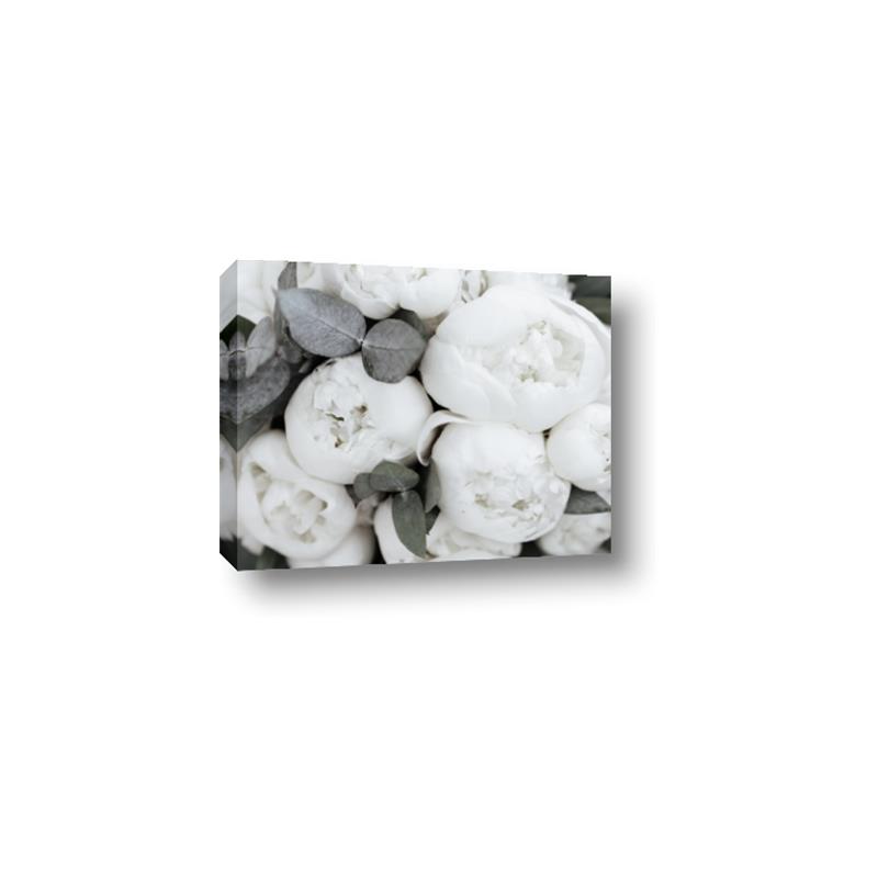 Picture of White Blooms _GroupedProduct_Rectangle_Landscape_Photography _GroupedProduct_Rectangle_Landscape_Canvas_