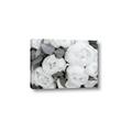 Picture of White Blooms _GroupedProduct_Rectangle_Landscape_Photography _GroupedProduct_Rectangle_Landscape_Canvas_