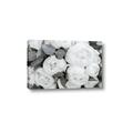 Picture of White Blooms _GroupedProduct_Rectangle_Landscape_Photography _GroupedProduct_Rectangle_Landscape_Canvas_
