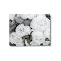 Picture of White Blooms _GroupedProduct_Rectangle_Landscape_Photography _GroupedProduct_Rectangle_Landscape_Canvas_