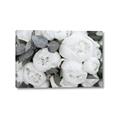 Picture of White Blooms _GroupedProduct_Rectangle_Landscape_Photography _GroupedProduct_Rectangle_Landscape_Canvas_