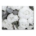 Picture of White Blooms _GroupedProduct_Rectangle_Landscape_Photography _GroupedProduct_Rectangle_Landscape_Canvas_