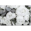 Picture of White Blooms _GroupedProduct_Rectangle_Landscape_Photography _GroupedProduct_Rectangle_Landscape_Canvas_