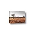 Picture of One Tree _GroupedProduct_Rectangle_Landscape_Photography _GroupedProduct_Rectangle_Landscape_Canvas_