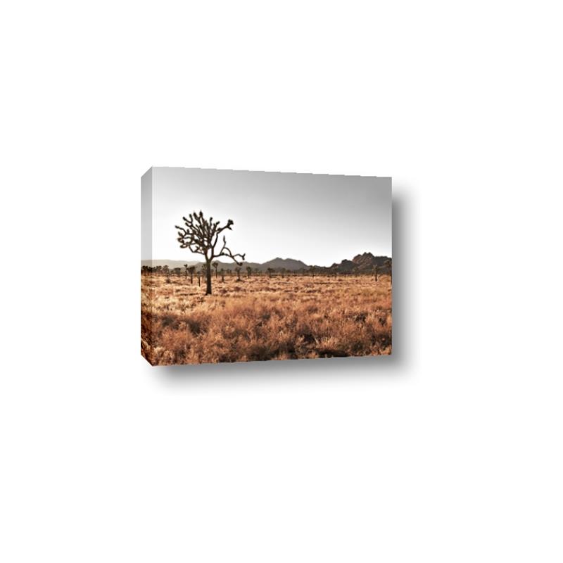 Picture of One Tree _GroupedProduct_Rectangle_Landscape_Photography _GroupedProduct_Rectangle_Landscape_Canvas_