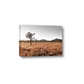Picture of One Tree _GroupedProduct_Rectangle_Landscape_Photography _GroupedProduct_Rectangle_Landscape_Canvas_