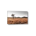 Picture of One Tree _GroupedProduct_Rectangle_Landscape_Photography _GroupedProduct_Rectangle_Landscape_Canvas_