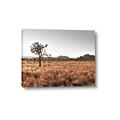 Picture of One Tree _GroupedProduct_Rectangle_Landscape_Photography _GroupedProduct_Rectangle_Landscape_Canvas_