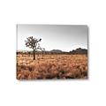 Picture of One Tree _GroupedProduct_Rectangle_Landscape_Photography _GroupedProduct_Rectangle_Landscape_Canvas_