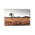 Picture of One Tree _GroupedProduct_Rectangle_Landscape_Photography _GroupedProduct_Rectangle_Landscape_Canvas_