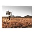 Picture of One Tree _GroupedProduct_Rectangle_Landscape_Photography _GroupedProduct_Rectangle_Landscape_Canvas_