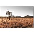 Picture of One Tree _GroupedProduct_Rectangle_Landscape_Photography _GroupedProduct_Rectangle_Landscape_Canvas_