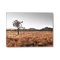 Picture of One Tree _GroupedProduct_Rectangle_Landscape_Photography _GroupedProduct_Rectangle_Landscape_Canvas_