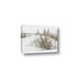 Picture of Sand Dunes _GroupedProduct_Rectangle_Landscape_Photography _GroupedProduct_Rectangle_Landscape_Canvas_