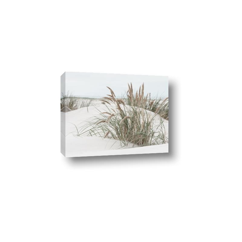 Picture of Sand Dunes _GroupedProduct_Rectangle_Landscape_Photography _GroupedProduct_Rectangle_Landscape_Canvas_