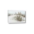 Picture of Sand Dunes _GroupedProduct_Rectangle_Landscape_Photography _GroupedProduct_Rectangle_Landscape_Canvas_
