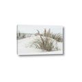 Picture of Sand Dunes _GroupedProduct_Rectangle_Landscape_Photography _GroupedProduct_Rectangle_Landscape_Canvas_