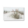 Picture of Sand Dunes _GroupedProduct_Rectangle_Landscape_Photography _GroupedProduct_Rectangle_Landscape_Canvas_